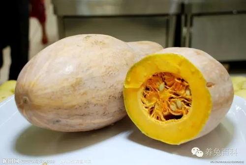 小冬瓜直播间娱乐圈吃瓜