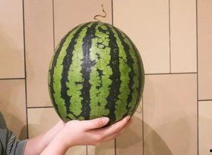 一起来吃瓜1.2.5,揭秘1.2.5版本背后的精彩故事