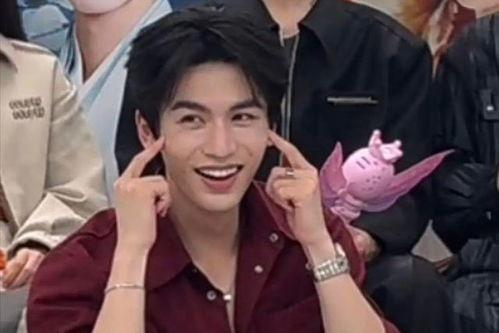 娱乐圈吃瓜张凌赫,娱乐圈吃瓜达人，揭秘明星幕后故事