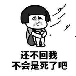 吃瓜表情怎么回复女孩子,这样回复女孩子，轻松拉近心距