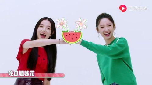 娱乐姐妹吃瓜,揭秘明星们的“吃瓜”日常