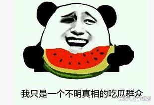 吃瓜事件,揭秘娱乐圈背后的真相与争议