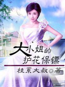 娱乐吃瓜小姐小说,揭秘娱乐圈背后的秘密与真相